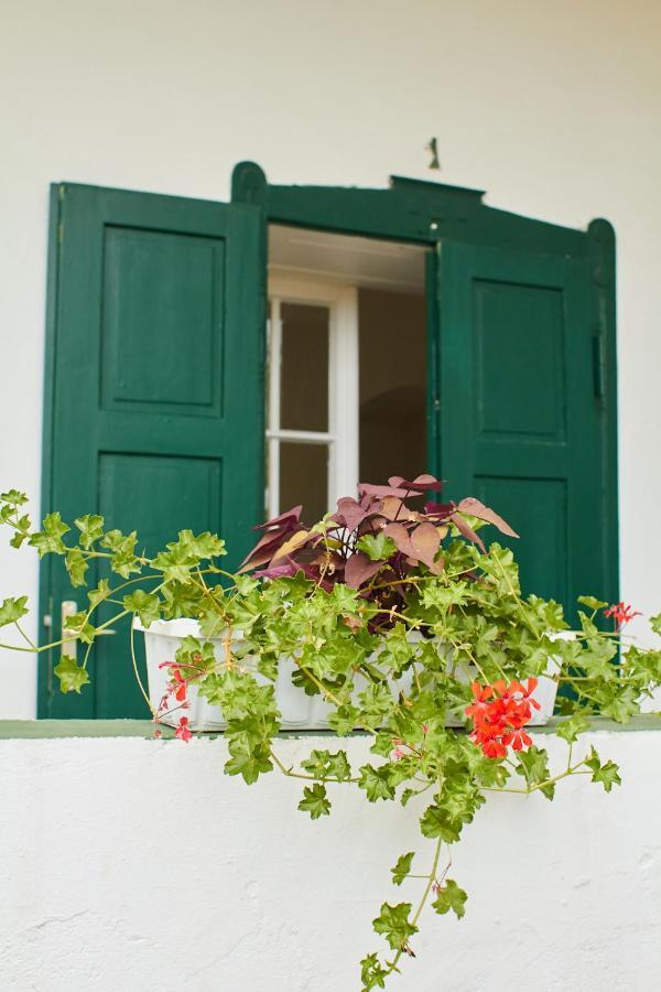 Vadrozsa Vendeghaz Racalmas Guest House Exterior photo