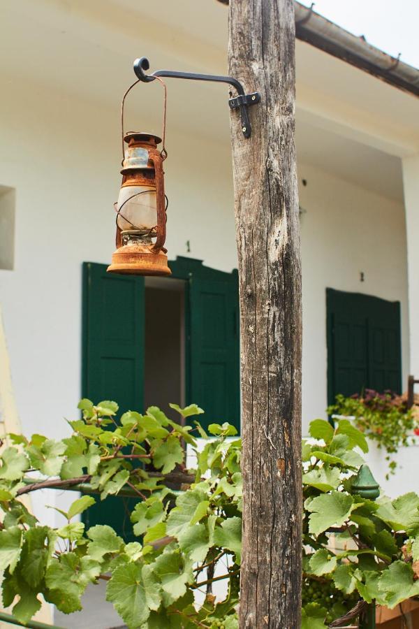 Vadrozsa Vendeghaz Racalmas Guest House Exterior photo